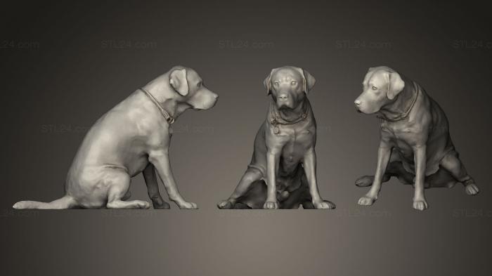Animal figurines (DOG A, STKJ_0227) 3D models for cnc